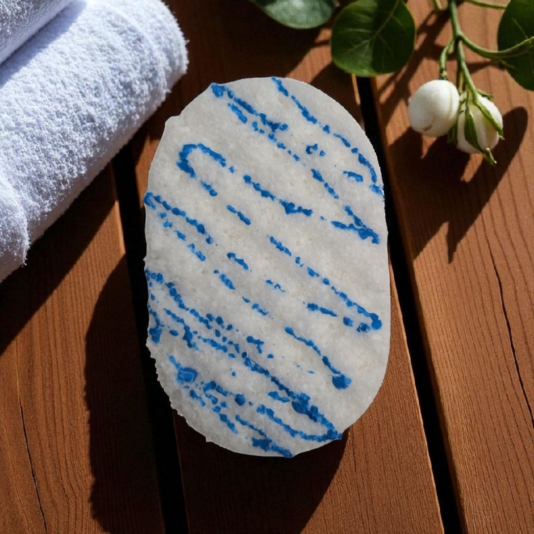 Spa Day - Soap Sponge