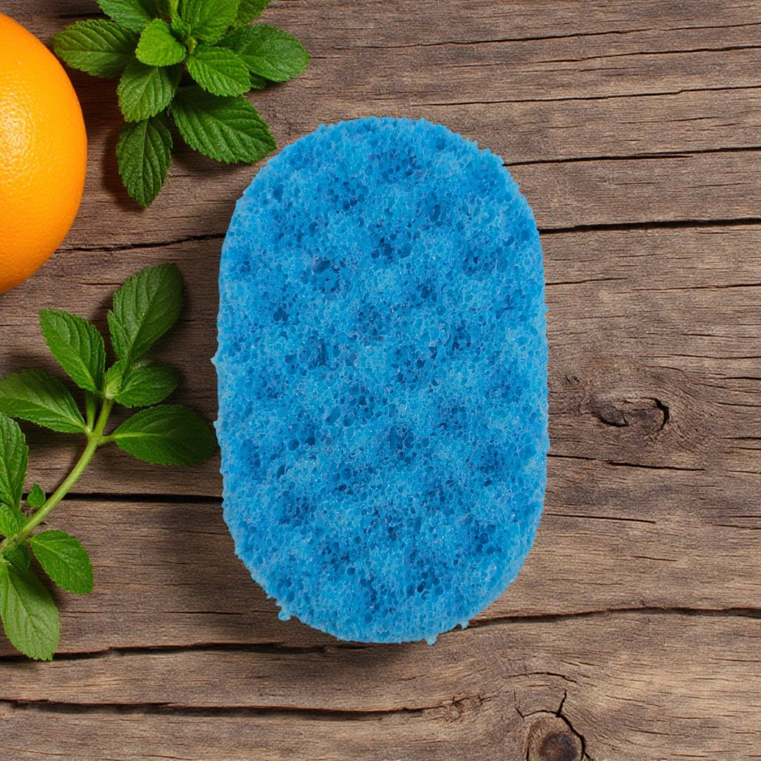 Tranquillity - Soap Sponge