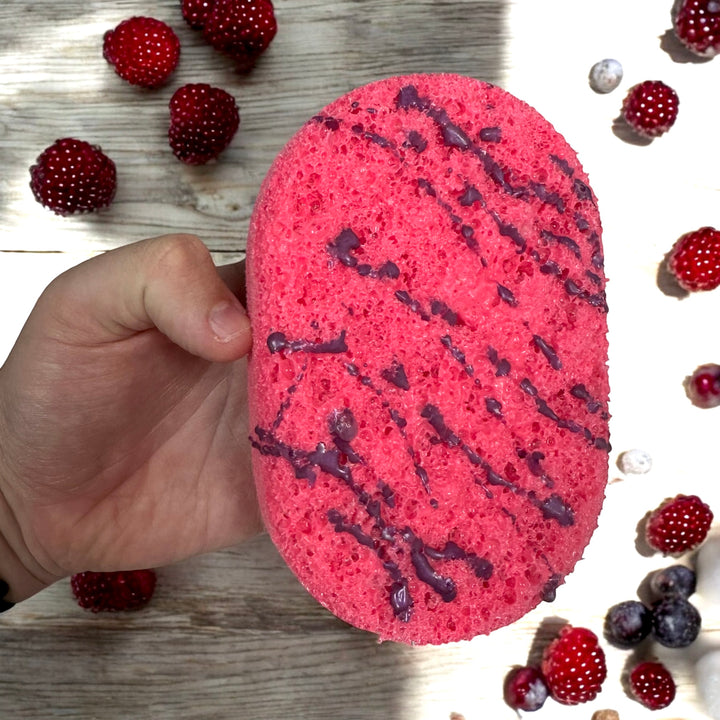 Winter Berries - Soap Sponge