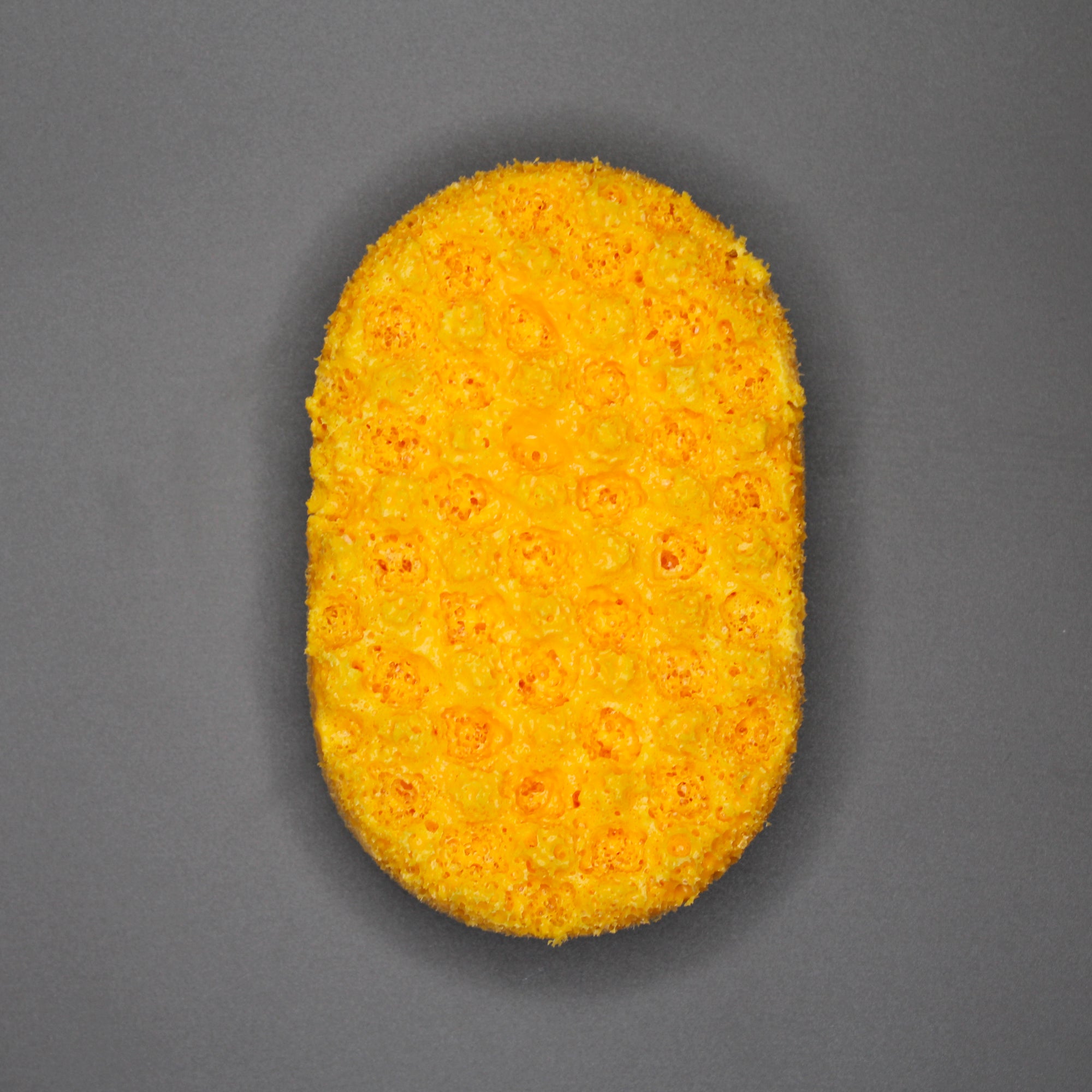 Amalfi - Soap Sponge