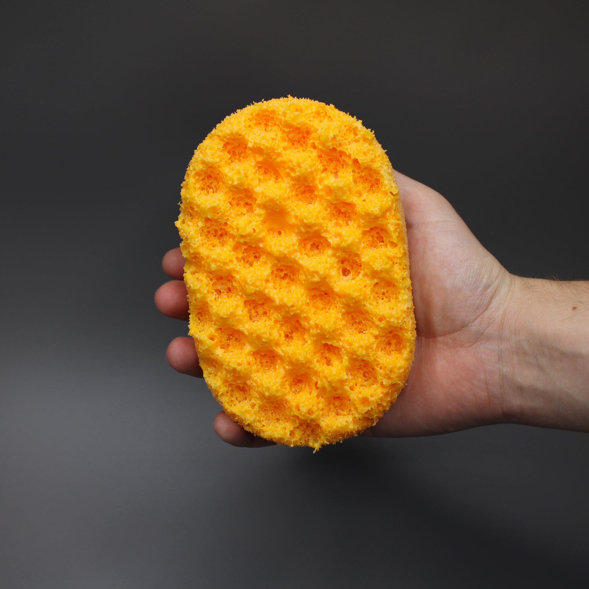 Amalfi - Soap Sponge