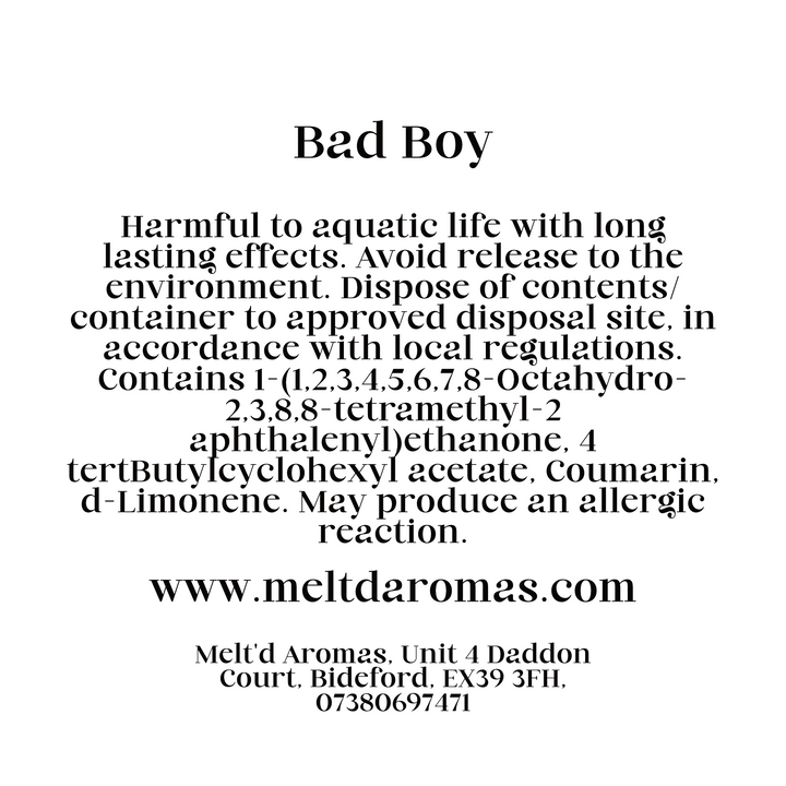 Bad Boy - Wax Melt