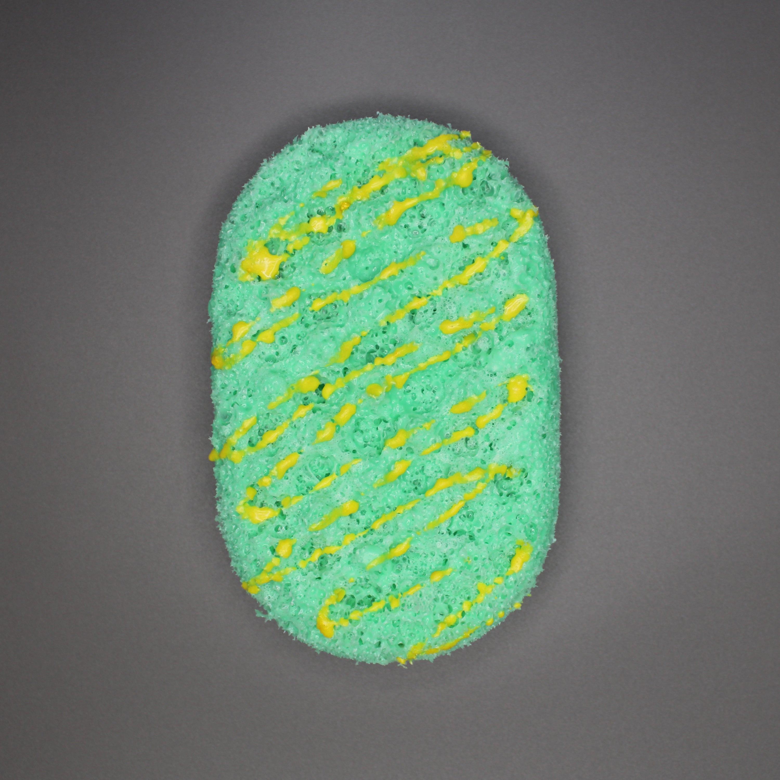 Citrus & Oak - Soap Sponge