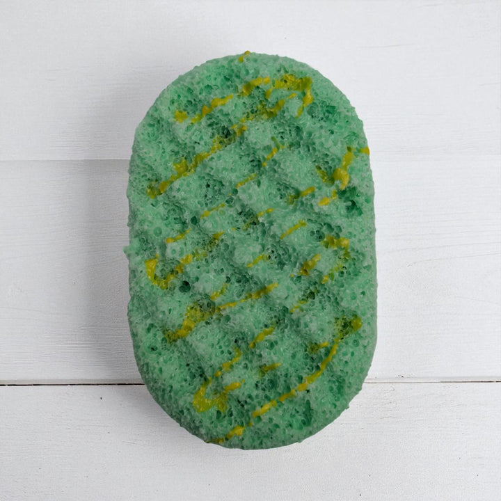 Citrus & Oak - Soap Sponge