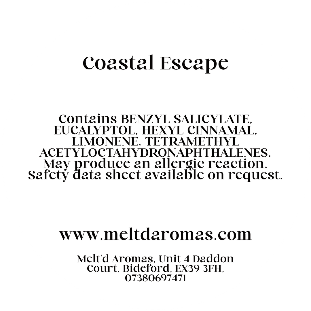 Coastal Escape - Wax Melt