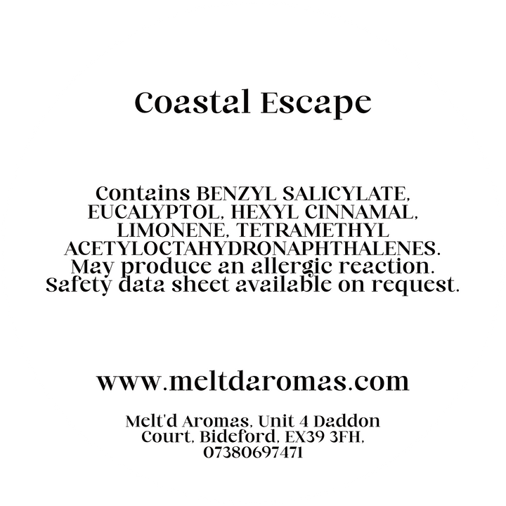 Coastal Escape - Wax Melt