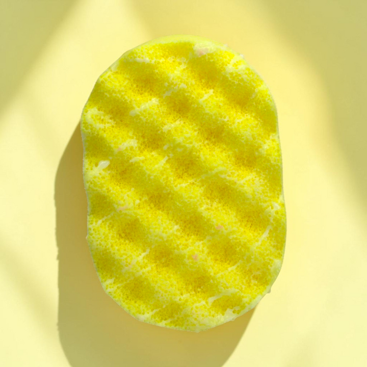Soap Sponges