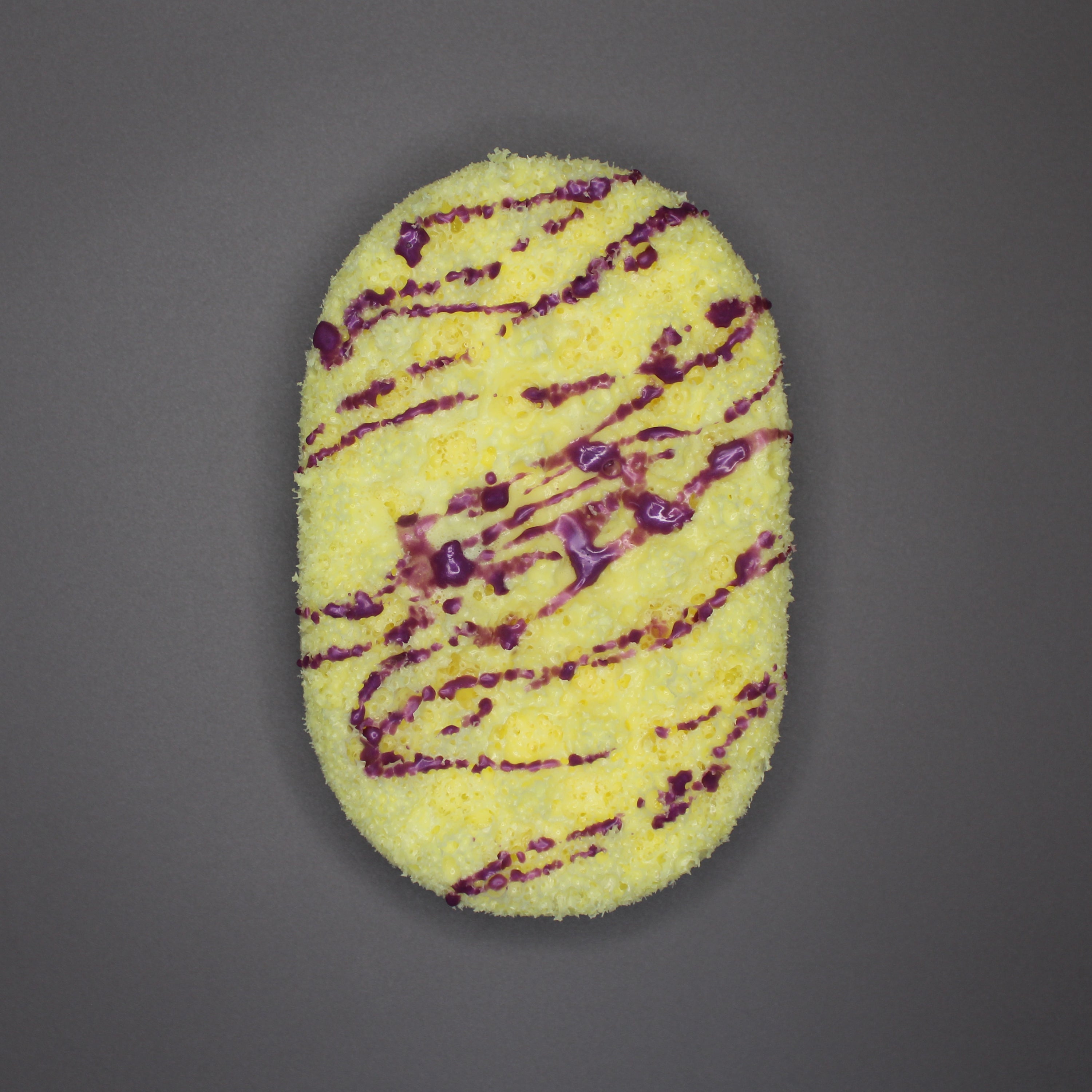 Lemon & Raspberry - Soap Sponge