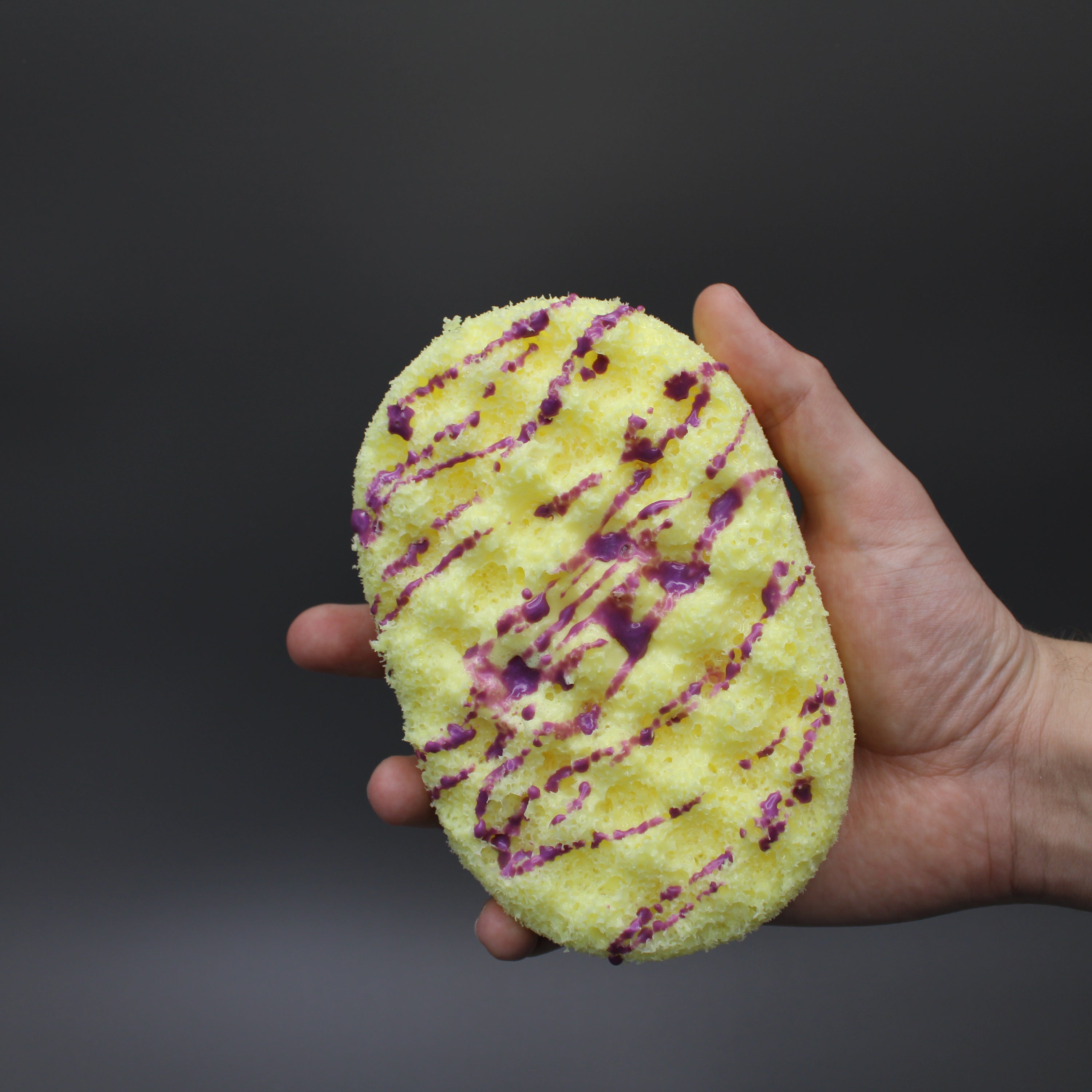 Lemon & Raspberry - Soap Sponge