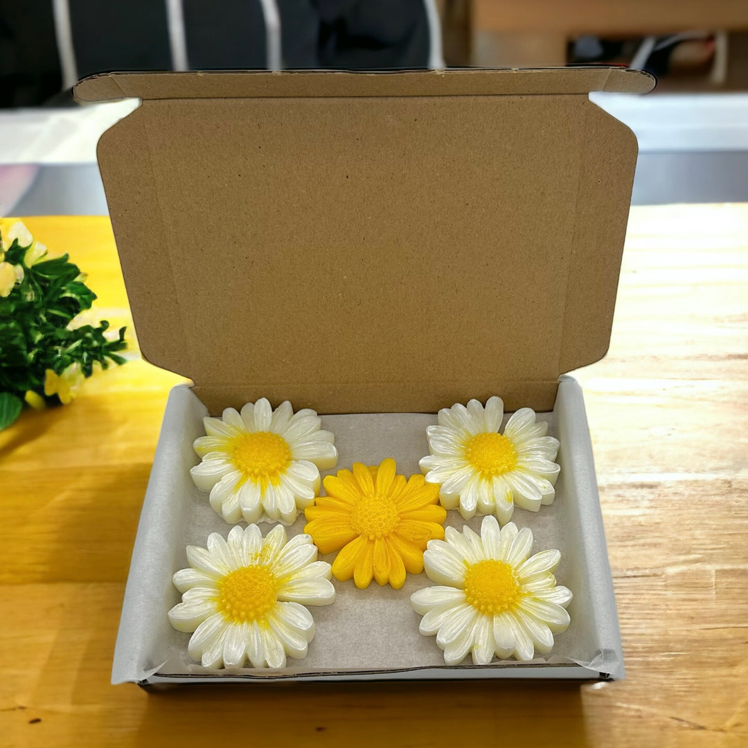 Daisies - Daisy Shaped Wax Melts - Box of 5