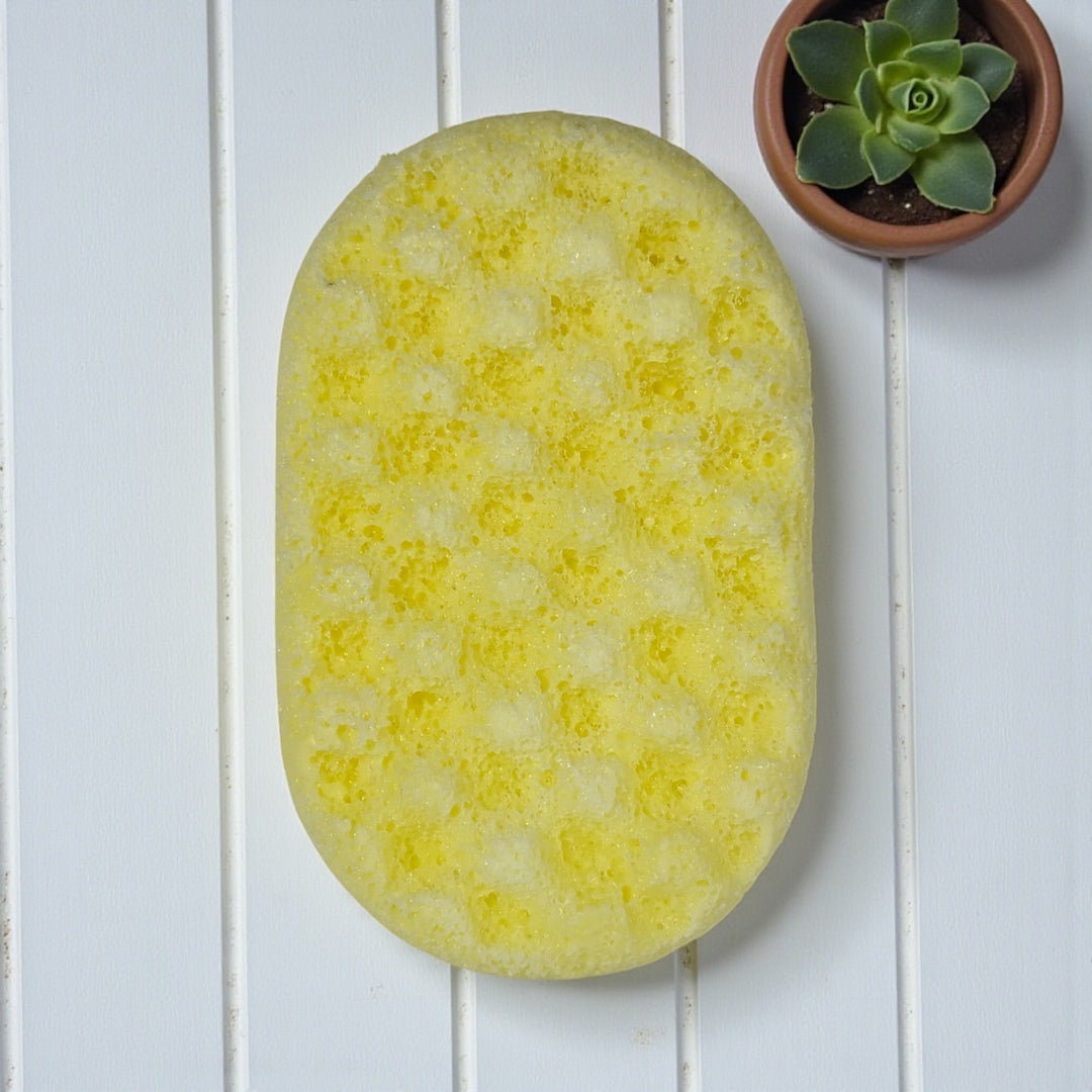 Soap Sponges (Large)