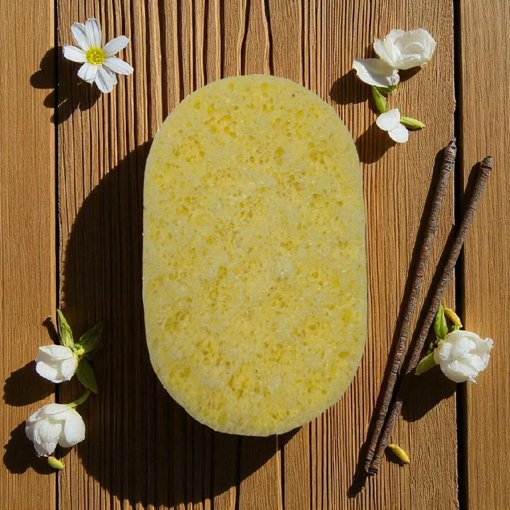 Soap Sponges (Large)