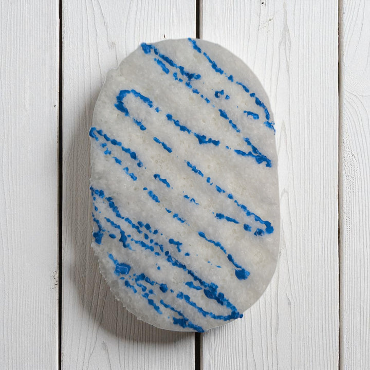 Spa Day - Soap Sponge