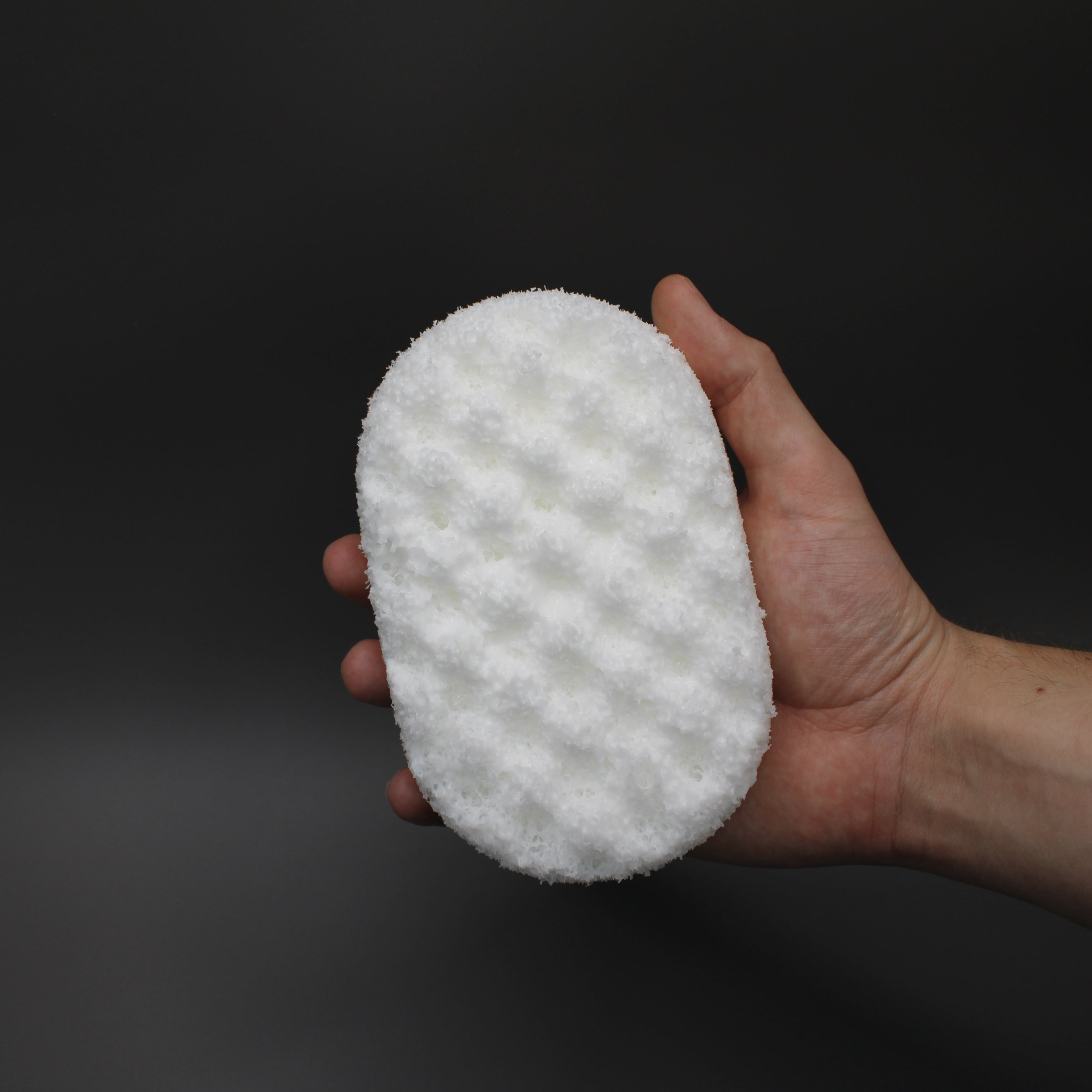 Spa Day - Soap Sponge