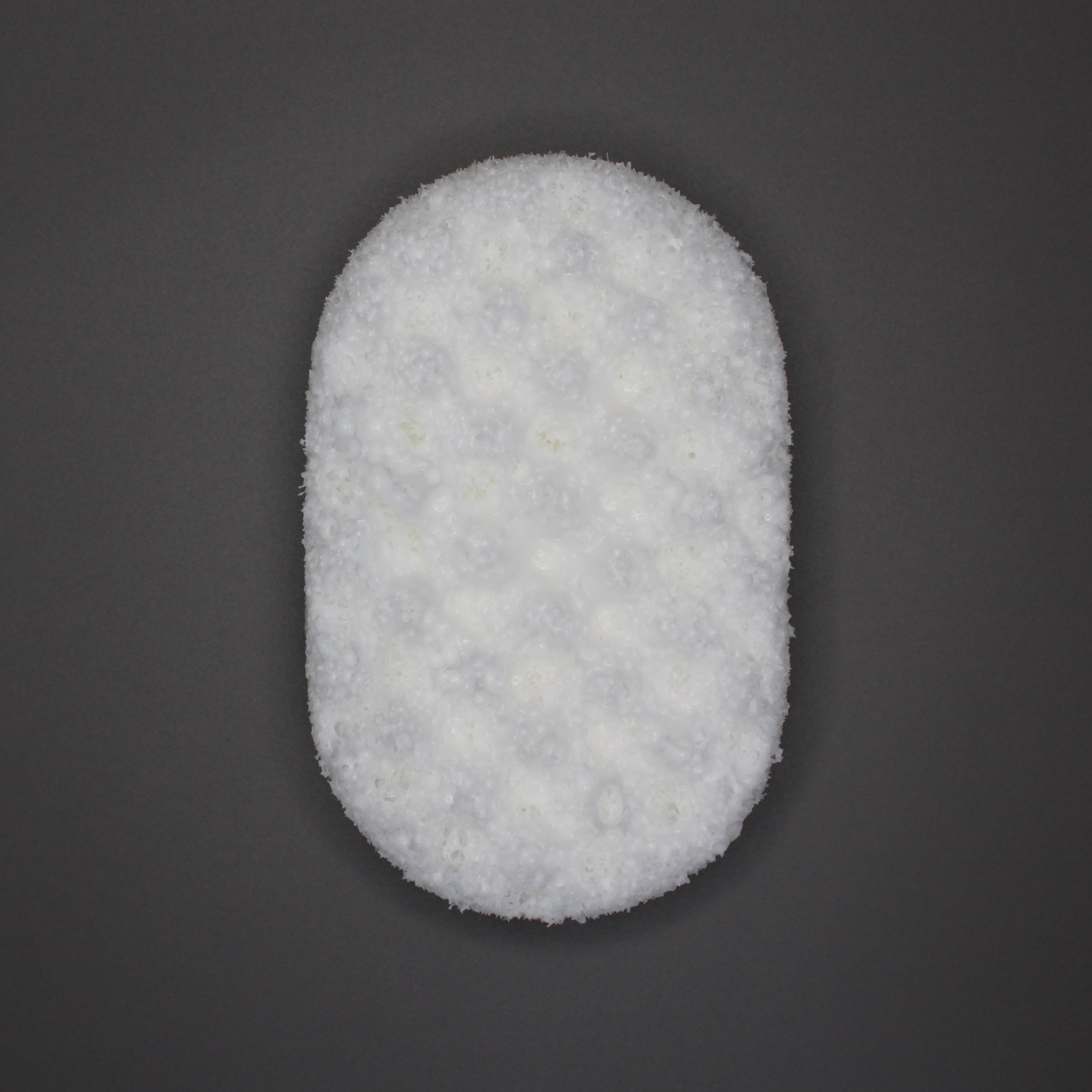 Spa Day - Soap Sponge