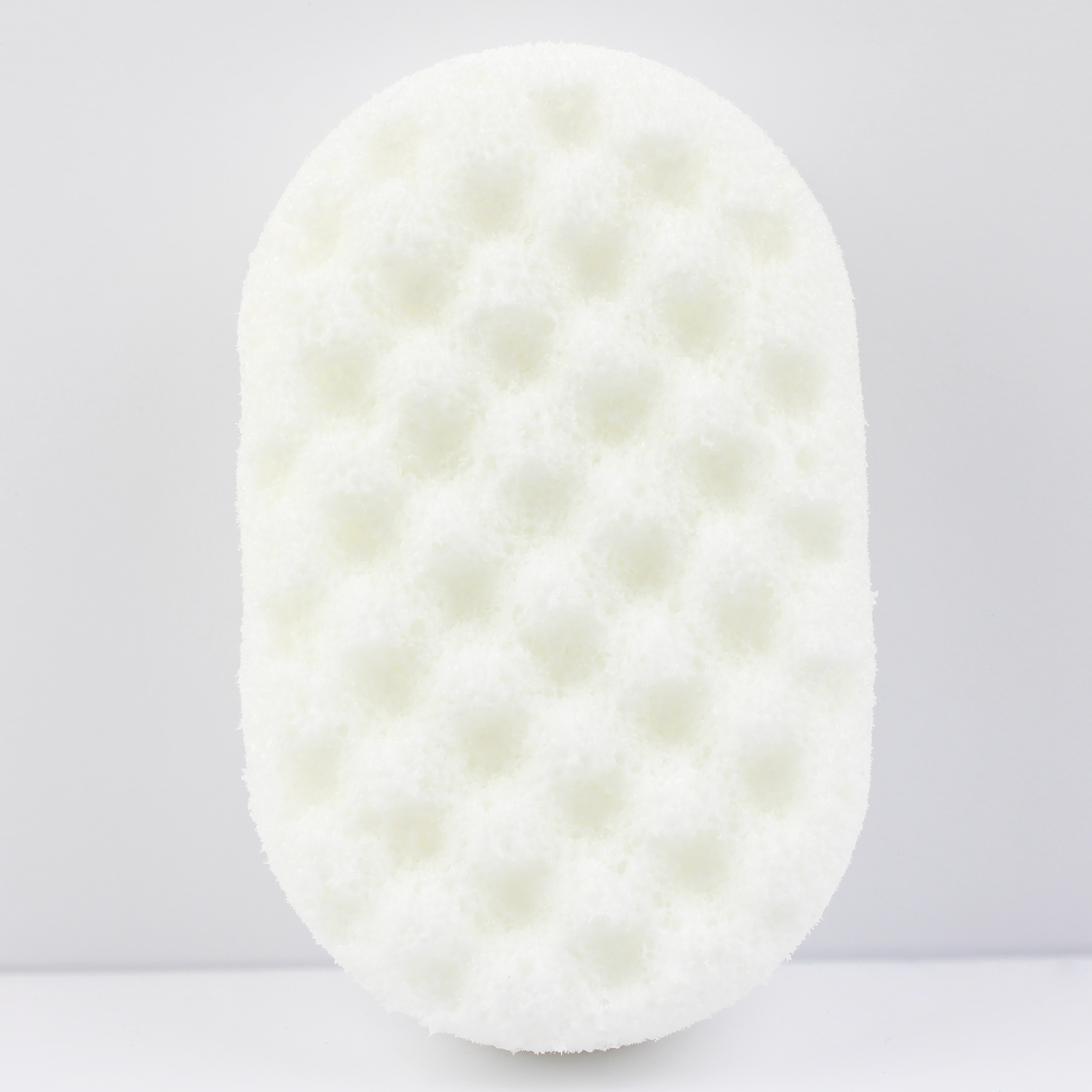 Spa Day - Soap Sponge