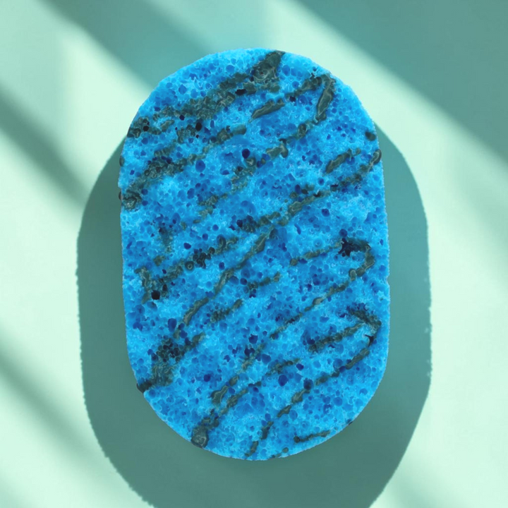 Soap Sponges