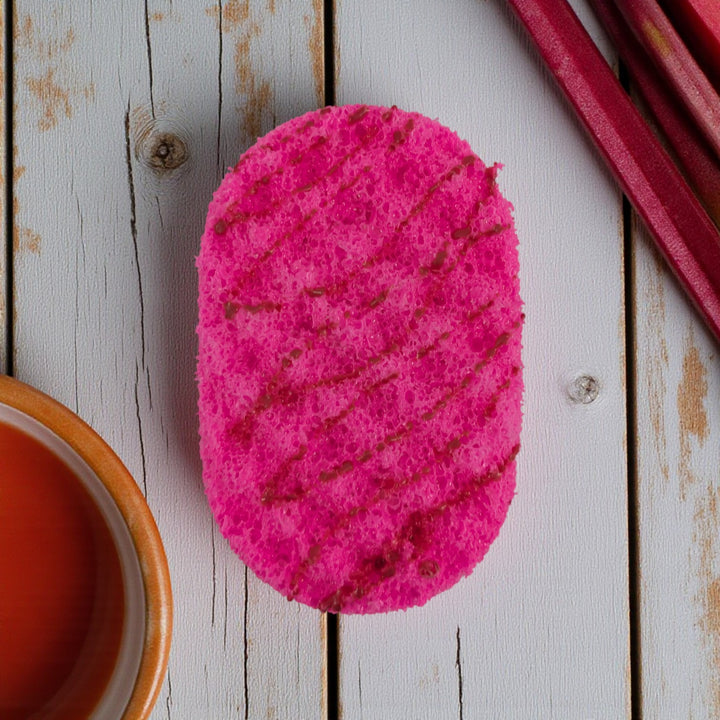 Soap Sponges (Large)